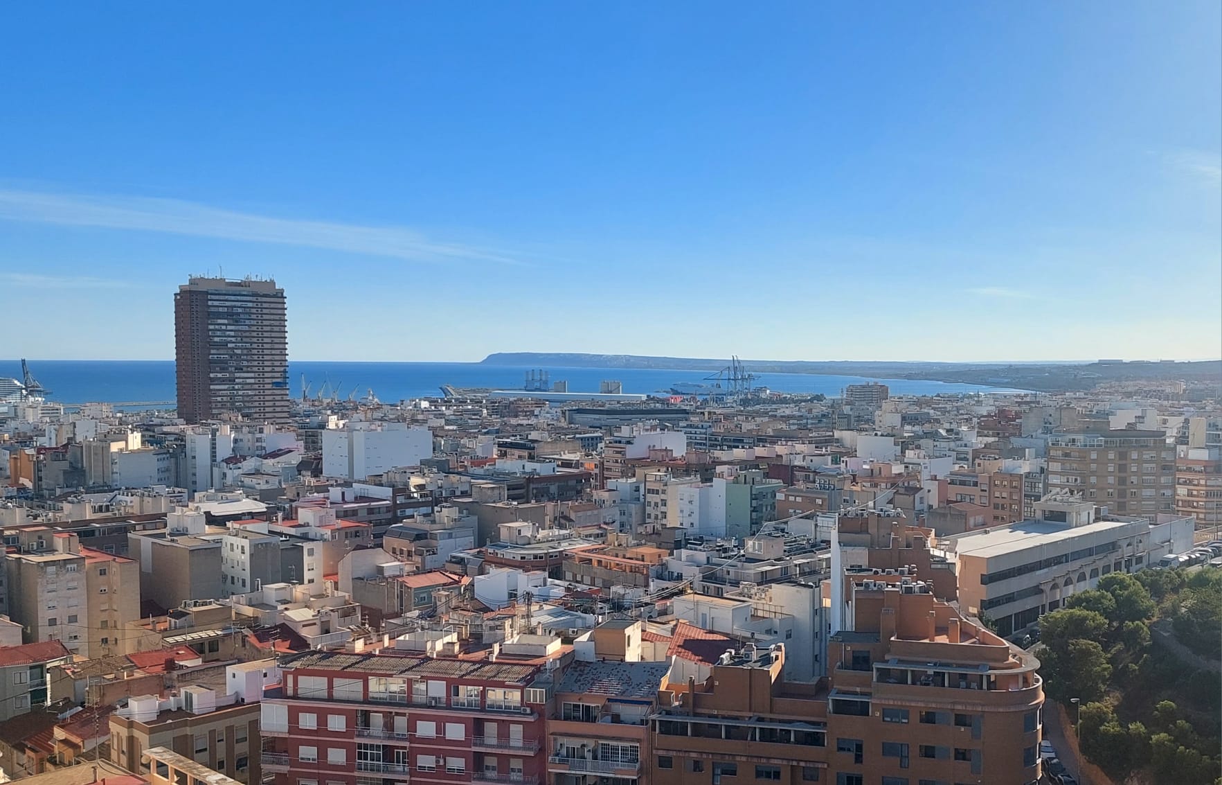Alicante lanza el proyecto ‘Puentes climáticos: islas de biodiversidad Puerto-Ciudad’ para combatir el cambio climático