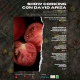 Show cooking en el Observatorio de Medio Ambiente