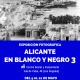 Alicante en BN