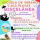 Escuela de Verano CMS Playas