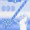 Conciertos