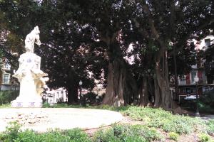 Paseos y árboles singulares. Itinerario ambiental guiado y gratuito