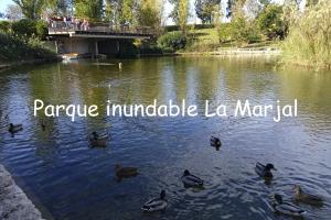 Dom. 23 de noviembre. Itinerario guiado y gratuito