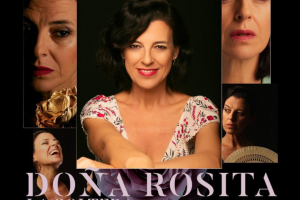 Cartel Obra teatro Doña Rosita la Soltera