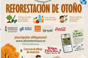 REFORESTACION MONTE ORGEGIA