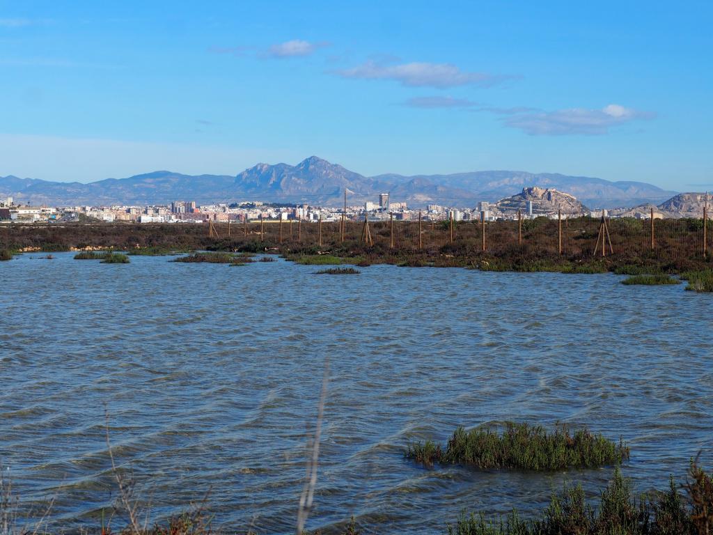 Medio Ambiente organiza una visita a las Lagunas de Rabassa y al