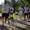 Dueños y mascotas, durante el recorrido 