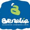 Benalúa