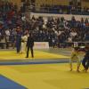 Combates de judo