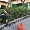 Limpieza Los Ángales y avenida de Novelda en abril (3)
