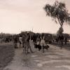 Orihuela 1946. Fotografía Francisco Sánchez