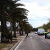 Dispositivos de la Policía Local de Alicante velando por el cumplimiento de las medidas para hacer frente al COVID-19