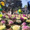 Reposición de flores en la Avenida de Salamanca