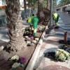 Reposición de flores en la Explanada