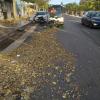 Operativo especial de retirada de hojas de UTE Alicante