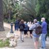 programa ‘Camina Alicante’
