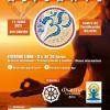 Cartel VIII Festival de Yoga