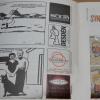 Algunos profesionales reconocidos, como El Roto, siguen colaborando con fanzines, medio en el que empezaron