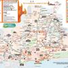 Folleto informativo bus Fogueres 2025