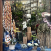 3ºFLORISTERIA ORQUIDEA