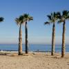 Alicante