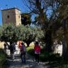 Itinerario ambiental Torres de la Huerta