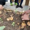 thumbnail_img_0813