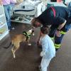 Visita Piña perro Bomberos hospital