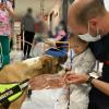 Visita Piña perro Bomberos hospital