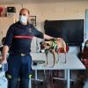 Visita Piña perro Bomberos hospital