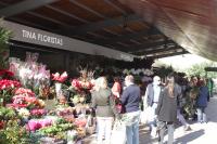 Los nuevos puestos de las flores de la plaza 25 de mayo