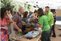 Taller de plantas en Plaza Nueva