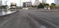 El Ayuntamiento limpia la playa de la Almadraba las la llegada masiva de algas.