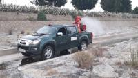 Las acciones de fumigación se vienen realizando de forma sistemática en toda la ciudad, alcantarillado, zonas verdes, cauces y barrancos, a lo la...