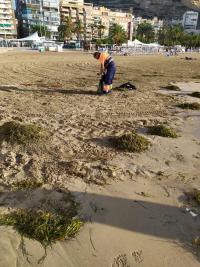 Operativo de limpieza de playas tras las lluvias torrenciales