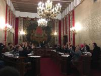 Imagen del pleno en la votación