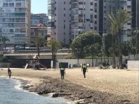 La Policía Local impone una veintena de denuncias en un día en Alicante