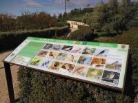 Mesa interpretativa sobre aves en parque inundable La Marjal