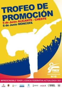 Cartel Trofeo Promoción Karate