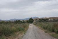 camino partida rural