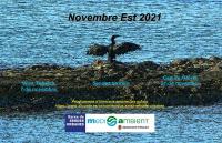 Novembre Est 2021. Programa Sendes