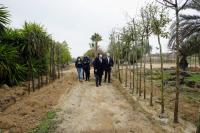 Nueva plantación árboles