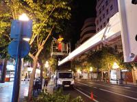 Operaciones de poda en la Rambla de Méndez Núñez