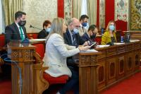  Pleno ordinario semipresencial 