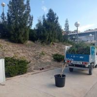 Trabajos de jardinería 'Brota Alicante'