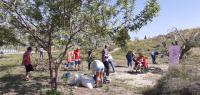 Plantación Asociación enfermos de Huntington