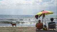 Playa para perros 