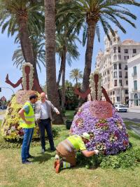 Parques y Jardines belleas en flor