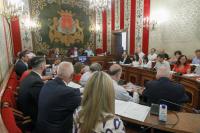 Pleno 28 de julio Pleno 28 de julio