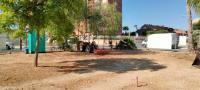 Inicio de las obras de una nueva zona de libre paseo de mascotas en el Cabo de las Huertas Inicio de las obras de una nueva zona de libre paseo de mascotas en el Cabo de las Huertas